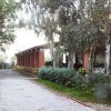 Sentiero tra gli alberi e un edificio.