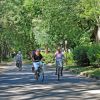 Persone pedalano su biciclette lungo un viale alberato.