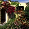 Portico con fiori variopinti e bouganville su un muro esterno.