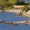 Spiaggia rocciosa con mare calmo e vegetazione.