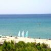 Spiaggia con ombrelloni verdi e vele bianche e azzurre viste dall'alto.