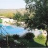 Piscina circondata da piante e alberi, con vista su colline verdi.