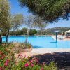 Piscina circondata da alberi e fiori.